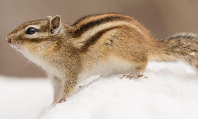 北京利工建程工程有限公司轮播图4