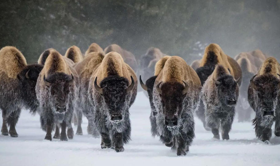 北京利工建程工程有限公司轮播图2